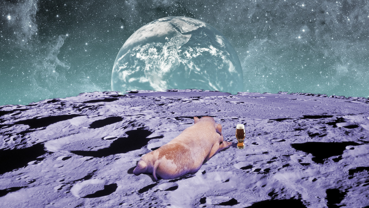 A large pig with a beer on the moon looking at Earth.