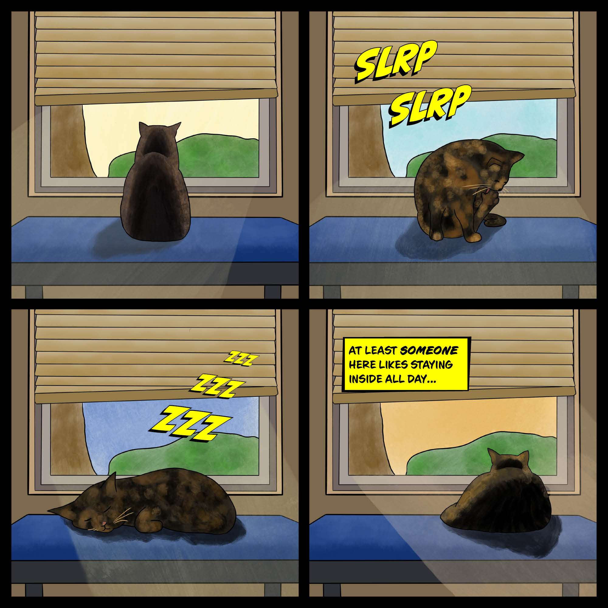A cat's quarantine 